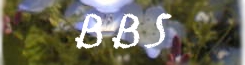 bbs