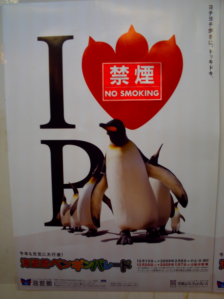 penguin_012