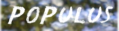 populus